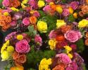 Florist Flowers