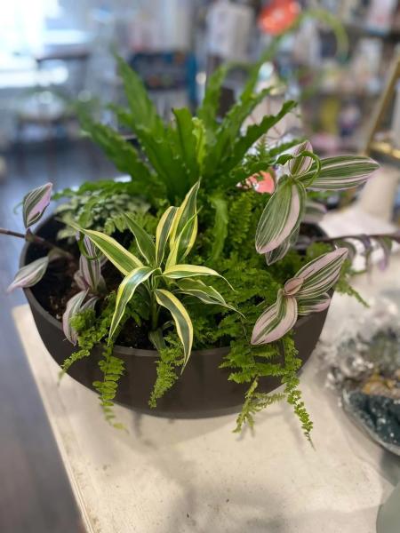 Green plant
